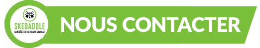 nous-contacter