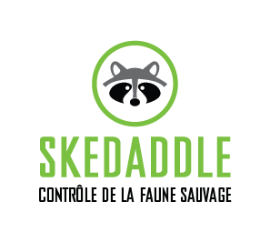 Skedaddle Humane Wildlife Control